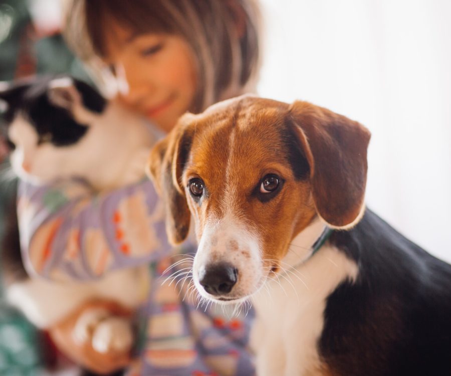 The dog sitting near girl